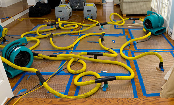 Professional Water Damage Repair technician working in Wadley, AL